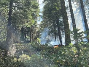 Quarry Fire in Forest