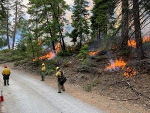 Quarry Fire in Stanislaus National Forest