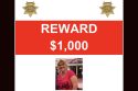 Notice of reward being offered by the Mariposa County Sheriff's Office to find missing woman Wendy Pullins
