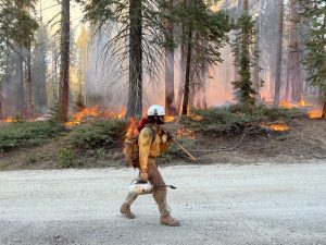 Quarry Fire burning in STF