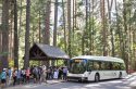 Yosemite Shuttle