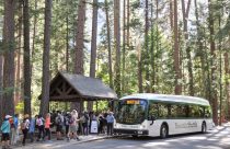 Yosemite Shuttle