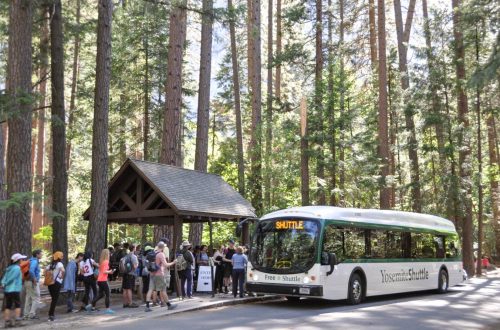 Yosemite Shuttle