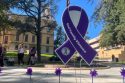 CNVC Paint the Town Purple signs along Washington Street in downtown Sonora