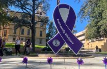 CNVC Paint the Town Purple signs along Washington Street in downtown Sonora