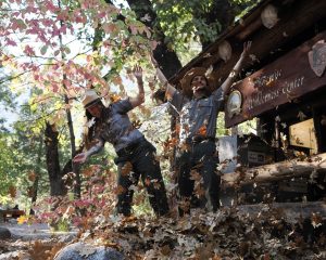 Change leaf colors signal changes for Yosemite National Park -- Yosemite National Park photo