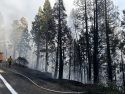 Wildland fire off Highway 108 on the Stanislaus National Forest -- STF photo