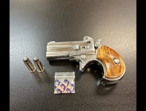 Guns and Ammo Confiscated