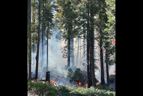Quarry Fire