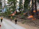 Quarry Fire