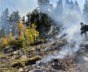 Quarry Fire In Stanislaus National Forest