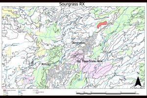 STF Sourgrass Prescribed Burn map