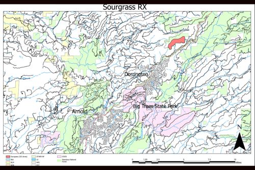 STF Sourgrass Prescribed Burn map