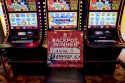 Chicken Ranch Casino slot machine with the winning jackpot -- Chicken Ranch Casino photo