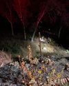 TCFD rope rescue