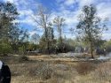 Campo Fire determined an escaped debris burn according to CCF