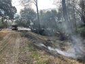 Campo Fire determined an escaped debris burn according to CCF