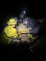 Cow stuck in mud El Dorado County -- Cal Fire AEU photo