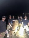 Cow with rescuers -- Cal Fire AEU photo
