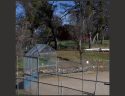 Feeney Park In Murphys