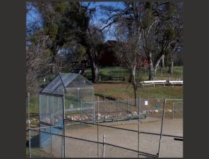 Feeney Park In Murphys