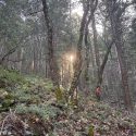 Rescue crews searching in the Arnold Rim Trail area for missing hiker Ann Herford --CCSO photo