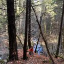 Rescue crews searching in the Arnold Rim Trail area for missing hiker Ann Herford --CCSO photo