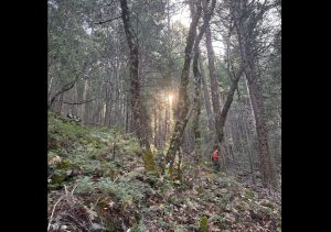 Search for missing hiker in Arnold