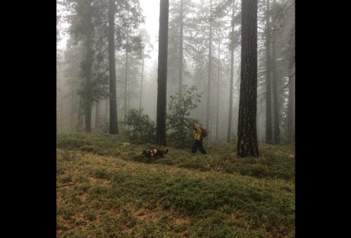 Search for Ann Herford in Calaveras County