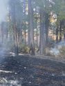 Pine Fire destroys home in Twain Harte -- CAL Fire TCU photo