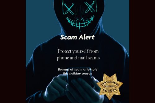 TCSO Scam Alert graphic
