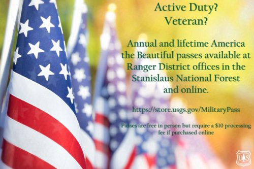 Veterans and active duty military annual and lifetime America the Beautiful passes flyer