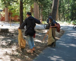 Volunteers collect trash in Yosemite -- park photo