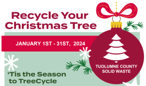 Christmas Tree Recycle image from TC Solid Waste