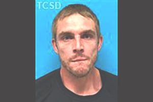Andrew James Lee -- TCSO booking photo