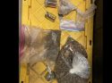 Items confiscated in San Andreas Bust