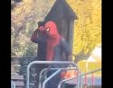 Twain Harte Spider-Man suspect