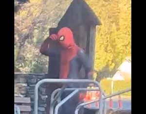 Twain Harte Spider-Man suspect