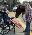 Guthrie gets her wish to interact with a horse one last time.