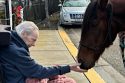 Guthrie gets her wish to interact with a horse one last time.