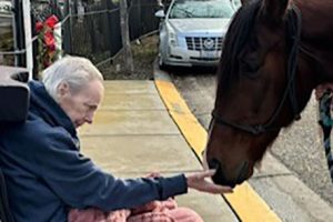 Guthrie gets her wish to interact with a horse one last time.