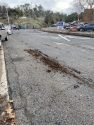 Road damage due to Train Derailment in Sonora