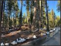 Foresta Drive - NPS Image