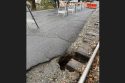 Sinkhole on Hospital Road in Sonora