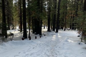 Third Weekend In January Events