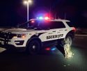 CCSO K-9 Titan at the arrest site