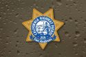 CHP log with rain background