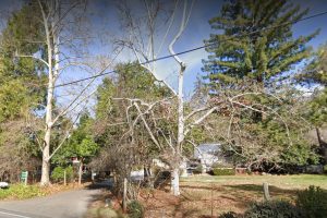 Property on Parrotts Ferry Road in Columbia