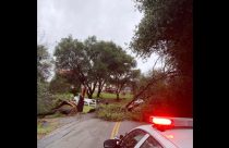 Tree Hazard on Saratoga Road