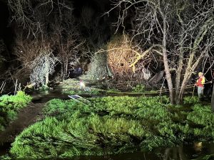 Firefighters Rescue Man And Dogs Trapped In Woods Creek